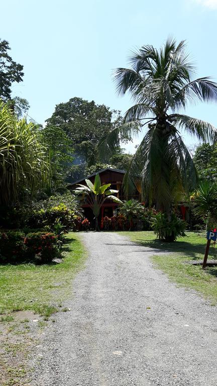Cabinas Nirvana Ecolodge Кауита Экстерьер фото