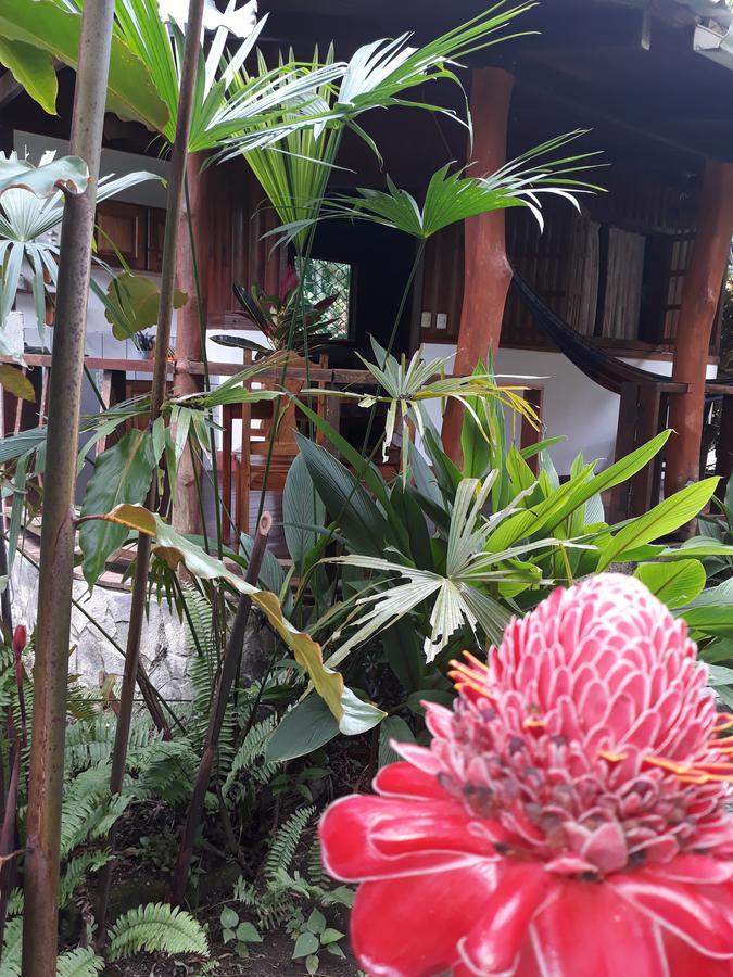 Cabinas Nirvana Ecolodge Кауита Экстерьер фото