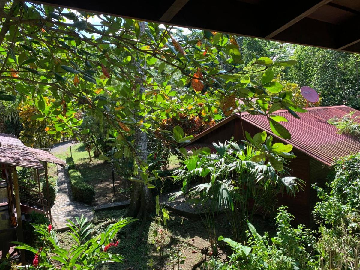Cabinas Nirvana Ecolodge Кауита Экстерьер фото